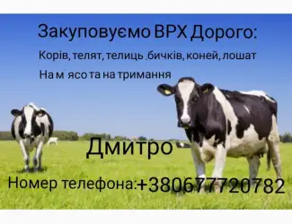 Зображення для оголошення Закуповуємо