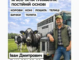Зображення для оголошення Закуповуємо Велику Рогату Худобу : ВРХ. Корови.Коні.Бички.Телиці. На М'ясо Та На Тримання