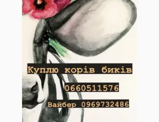 Зображення для оголошення Закупка производства коров быков баранов на мясо!!!! Дорого!!! Круглосуточно