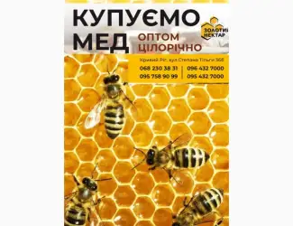 Зображення для оголошення Купуємо мед оптом