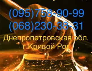 Зображення для оголошення Золотой Нектар" Оптовая закупка меда (Кривой Рог)