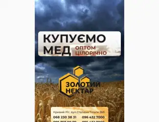 Зображення для оголошення Купуємо мед