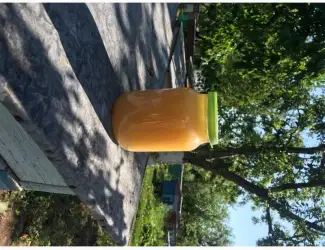Зображення для оголошення Продам мед та пилок