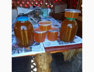 Зображення для оголошення Продам мед з власної пасіки