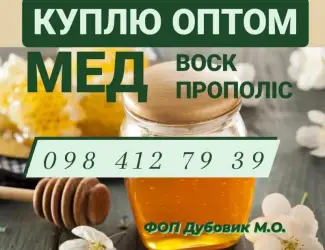 Зображення для оголошення Закуповуємо мед в необмеженій кількості