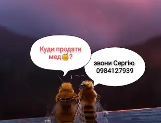Зображення для оголошення Куплю мед від 300кг