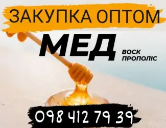 Зображення для оголошення Куплю мед для експорту