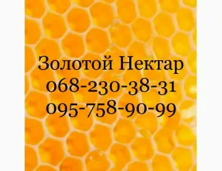 Зображення для оголошення Закупка меда по Днепропетровской и Херсонской обл