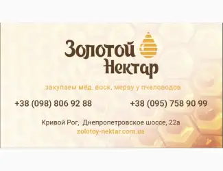 Зображення для оголошення Закупка Рапсового и Подсолнечного меда без антибитотиков