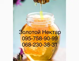Зображення для оголошення Закупаем Рапсовый Мёд