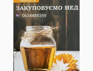 Зображення для оголошення Закупівля меду 2025