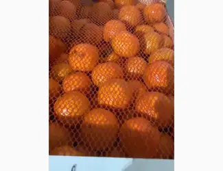 Зображення для оголошення Мандарины испания опт