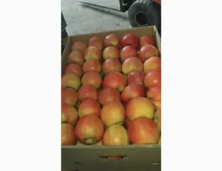 Зображення для оголошення Продам яблука