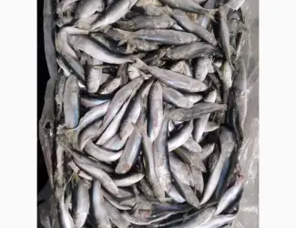 Зображення для оголошення Продам салаку