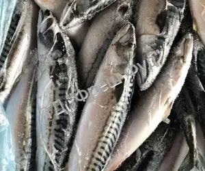 Зображення для оголошення Продам рыбу свежемороженую/ Продам рибу свіжоморожену