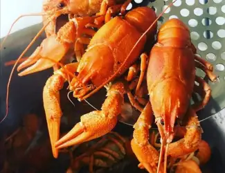 Зображення для оголошення Купим раки оптом