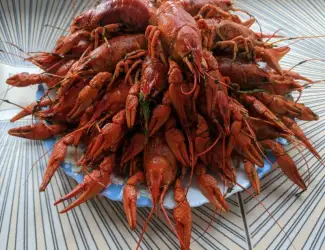 Зображення для оголошення Куплю Живых Раков