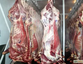 Зображення для оголошення Продамо м'ясо яловичини I-ї категорії на кістці