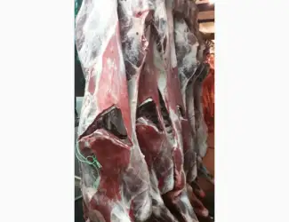 Зображення для оголошення ПрАТ АГРО-ПРОДУКТ продає охолоджене мясо на кості та кускове мясо бика і корови