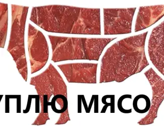 Зображення для оголошення Куплю яловичину (1 сорт