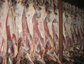 Зображення для оголошення Мясо Полутуши