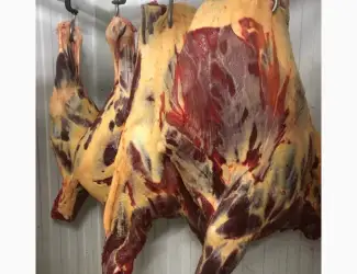 Зображення для оголошення Конина