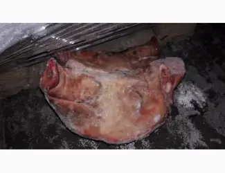 Зображення для оголошення Жир