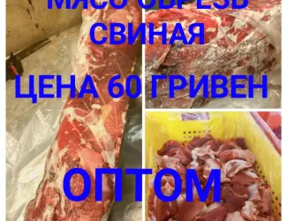 Зображення для оголошення Мясо обрезь свинина замороженная