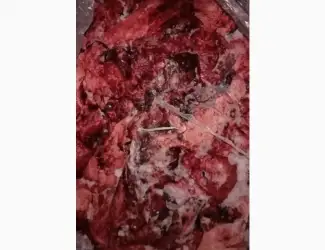 Зображення для оголошення Продам лёгкое свиное