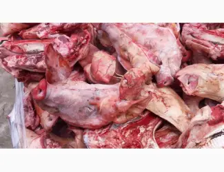 Зображення для оголошення Продам голови свинні