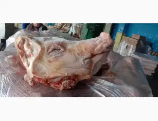 Зображення для оголошення Продам голови свині