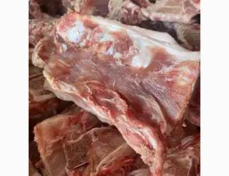 Зображення для оголошення Продам кістку хребтову