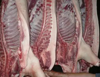 Зображення для оголошення Мясо свинины Одесса заказ