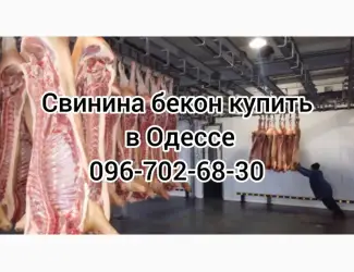 Зображення для оголошення Свинина свежий забой цена