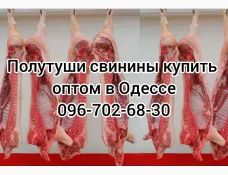 Зображення для оголошення Полутуши свинины цена