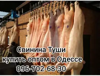 Зображення для оголошення Туши свинины цена