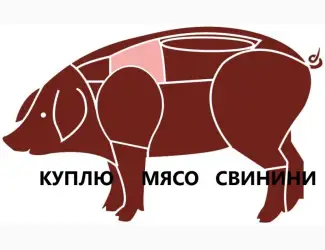 Зображення для оголошення Куплю свинину (1 сорт