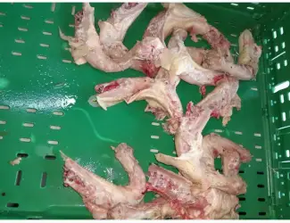 Зображення для оголошення Шия куряча