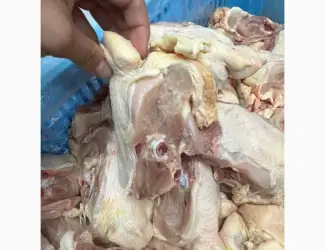 Зображення для оголошення Куплю спинку курячу