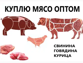 Зображення для оголошення Куплю мясо птиці (частини курячі: філе