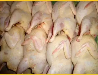 Зображення для оголошення Мясо BIO перепелиное оптом