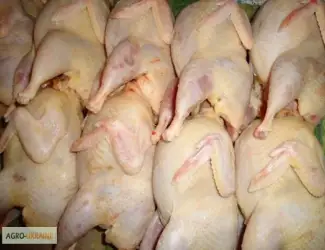 Зображення для оголошення Мясо перепела