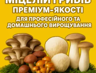 Зображення для оголошення Міцелій