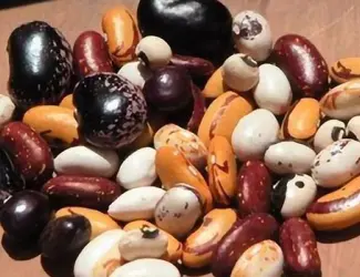 Зображення для оголошення Насіння квасолі