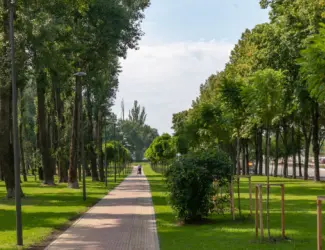 Зображення для оголошення Hасіння травосуміші для благоустрою парків (також з ПДВ)