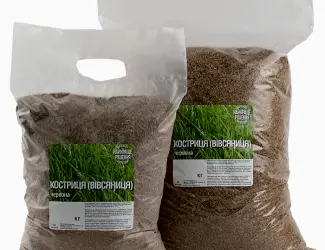 Зображення для оголошення Вівсянниця (костриця) червона купити від 1кг