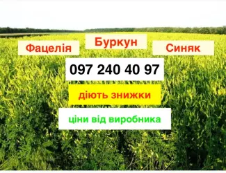 Зображення для оголошення Продам Буркун по найнижчій ціні від виробника 60 грн/кг (опт)