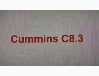 Зображення для оголошення Запчастини двигуна Cummins C8.3