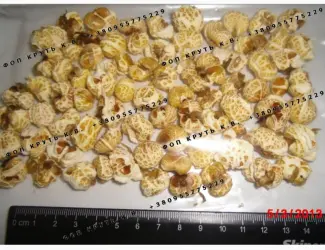 Зображення для оголошення Повітряна кукурудза висаджена 1кг Puffed Corn