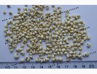 Зображення для оголошення Повітряне пшоно висаджене 1кг Puffed millet